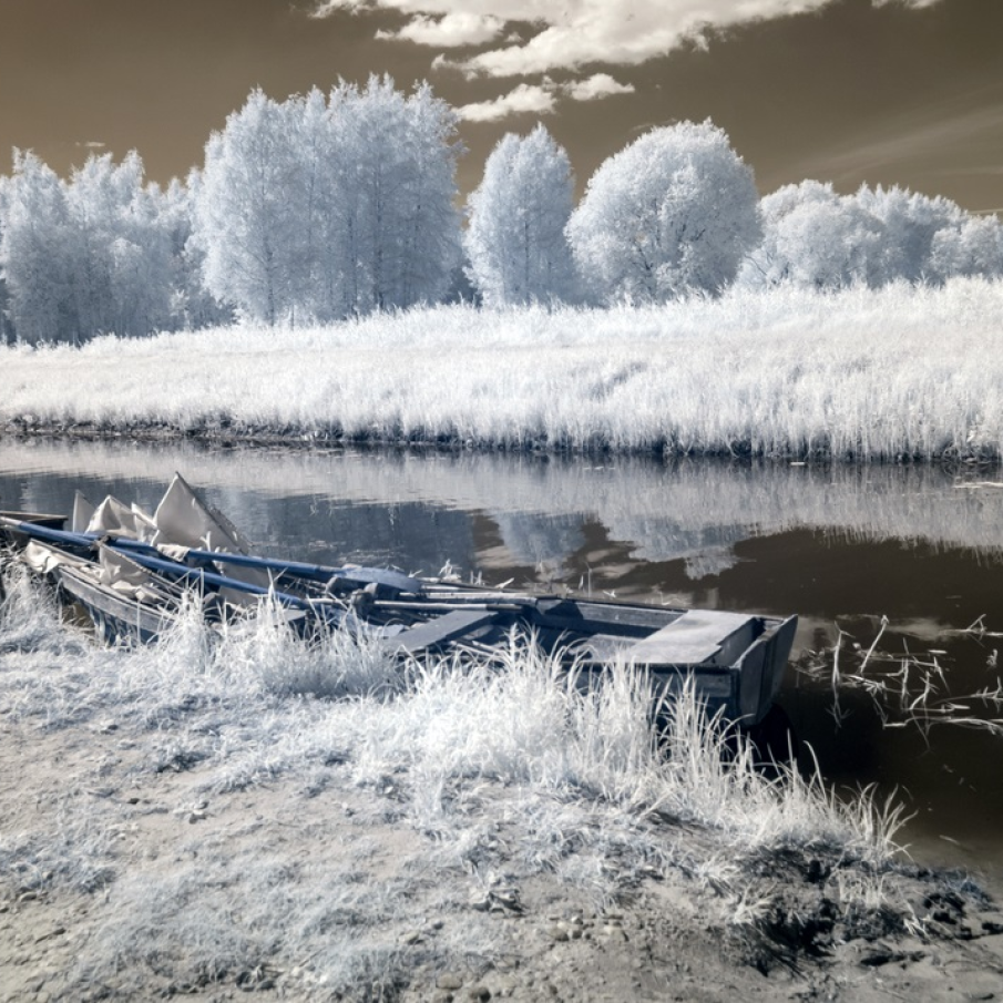 Suprarealism de vară 