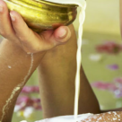 AURUL desertului: 10 Intrebuintari EXCEPTIONALE ale uleiului de jojoba