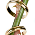 Casnicie de dragul lor