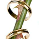 Casnicie de dragul lor