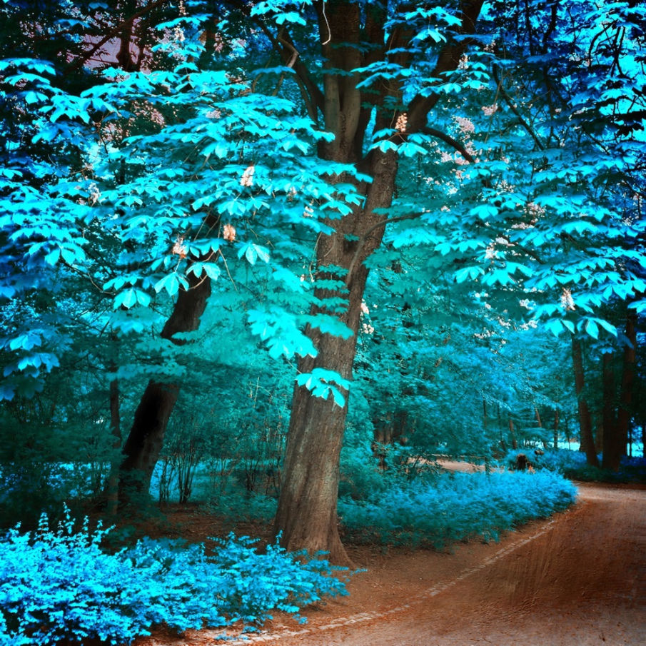 Natura cu sânge nobil 