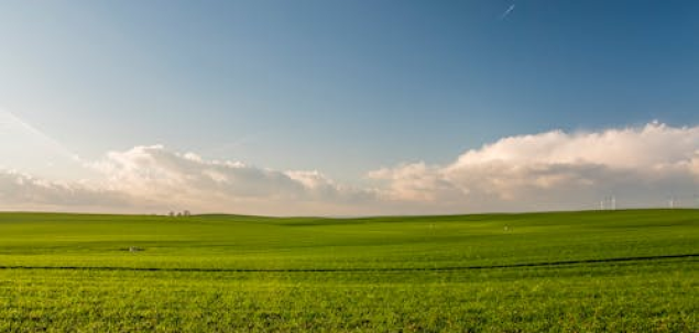 Ce parte a ta simți că trebuie regândită?