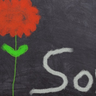 16 Motive pentru care oamenii care iarta sunt cu mult mai fericiti!