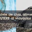 Alimentul minune al Mayasilor: 9 beneficii EXTRAORDINARE pentru sanatate ale semintelor de Chia 