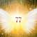 7.7 (7 iulie) – număr angelic dublu. Se activează codul 77, semne divine de abundență și că ne putem reseta pe drumul cel bun