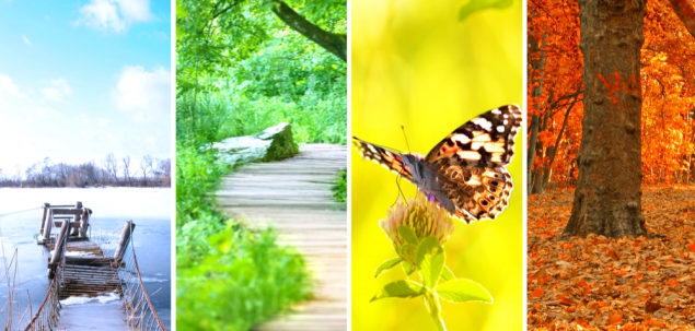 In ce antotimp te-ai nascut?