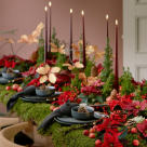 Cum să îți transformi casa într-o sărbătoare a simțurilor cu ajutorul Crăciunițelor