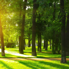 (P) Vara aceasta traieste fiecare zi ca pe o vacanta, la Edenland Park!