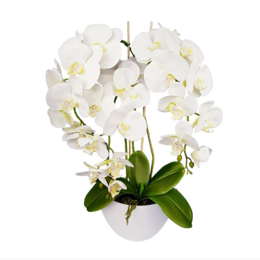 Orhidee artificială albă în ghiveci formată din 3 ramuri cu flori cauciucate și frunze mari cu rădăcini cu aspect real