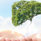 10 Tratamente naturiste pentru CURATAREA FICATULUI