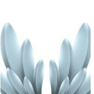 Wellness Show- primul targ de fitness, wellness, spa, frumusete si ingrijire corporala!