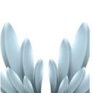 Wellness Show- primul targ de fitness, wellness, spa, frumusete si ingrijire corporala!