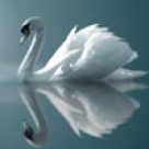 Raspuns pentru Iasmina