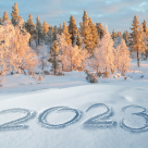 Cele mai frumoase citate despre luna ianuarie