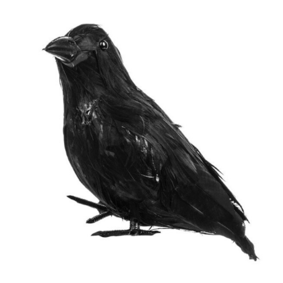 Pasăre decor Halloween, aspect realist, înălțime 15 cm, negru