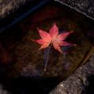 Datini, obiceiuri si superstitii romanesti de Sfanta Marie Mica 