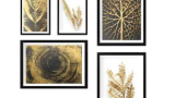 Set de 5 tablouri Nature Gold