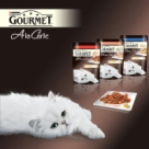 (p) Complimente Bucatarului Sef!