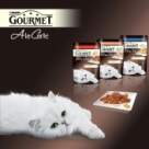 (p) Complimente Bucatarului Sef!