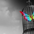 Blocajul mental: 3 strategii pentru a depasi capcanele creierului