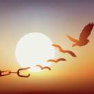 Când nimic nu este ceea ce pare...este timpul să fii TU, autentic, vulnerabil, cu greșeli, cu bucurii