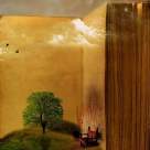 3 pasi spre vindecare, 3 carti care iti schimba viata!