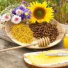 Calendarul produselor apicole: Ce e benefic pentru organismul tau in functie de sezon!