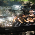 Gratar de ied(miel), pulpa purcel in bucati mari