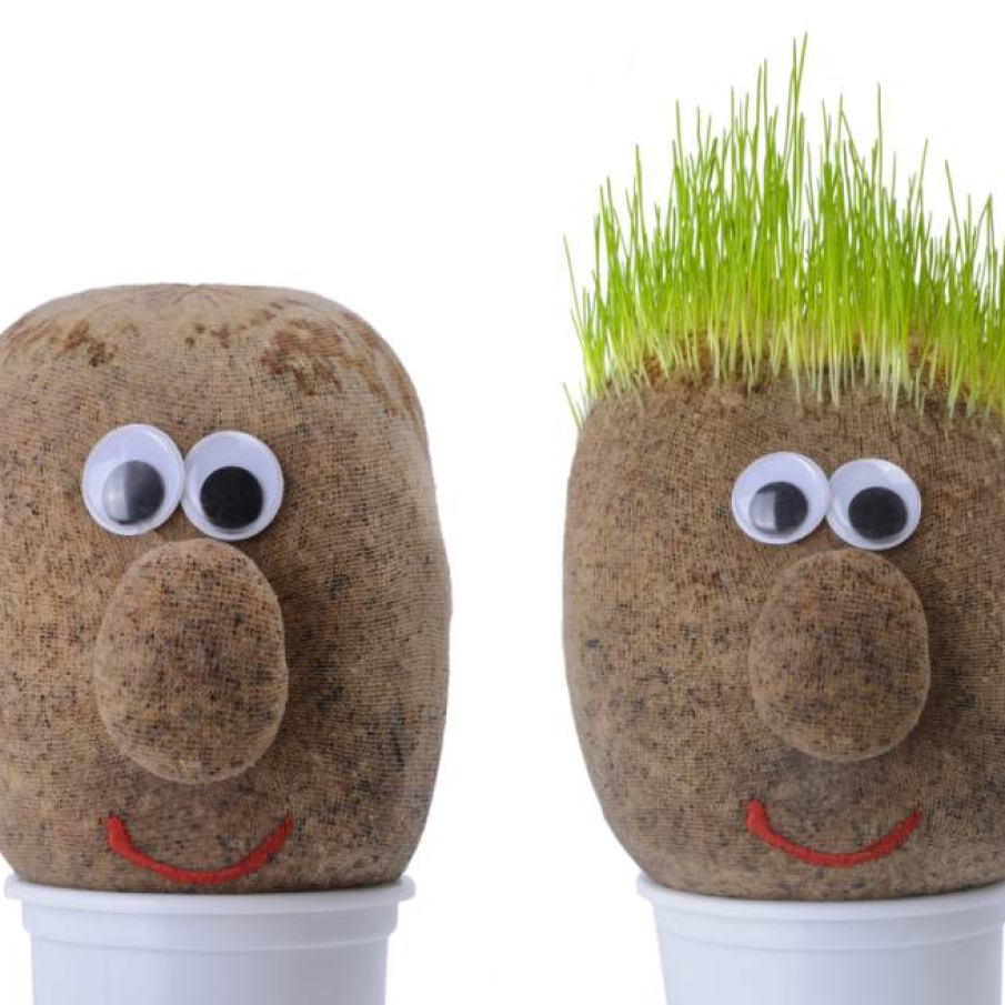 Cresti, graule, cresti... ca sa imi creasca si norocul! 