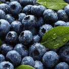 Afinele - bogate în antioxidanți remarcabili. Beneficii și proprietăți ale mărgelelor negre ale naturii 