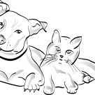 Testul de personalitate Gosling - Potter: Tot ce nu stiai despre 'Oamenii-Caine' si 'Oamenii-Pisica'