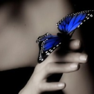 It's all about hope!