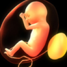 Despre avort, in perfecta liniste si tacere