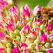 Produse apicole eficiente pentru intarirea imunitatii copiilor