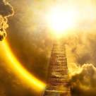 Lecții de pe patul de moarte: Tot ce contează în viață (și după) este să iubești, să râzi și să emiți lumină