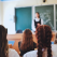 Ghiduri pentru profesori: cum vor fi organizate primele săptămâni de școală la clasa a IX-a