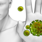 Imunitatea si flora intestinala. Cum sa mentinem echilibrul intre cele doua?