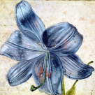 Curs de Desen: creion, carbune, pastel (3-6 august)