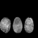 Caracterologie si destin: Amprente digitale cu personalitate