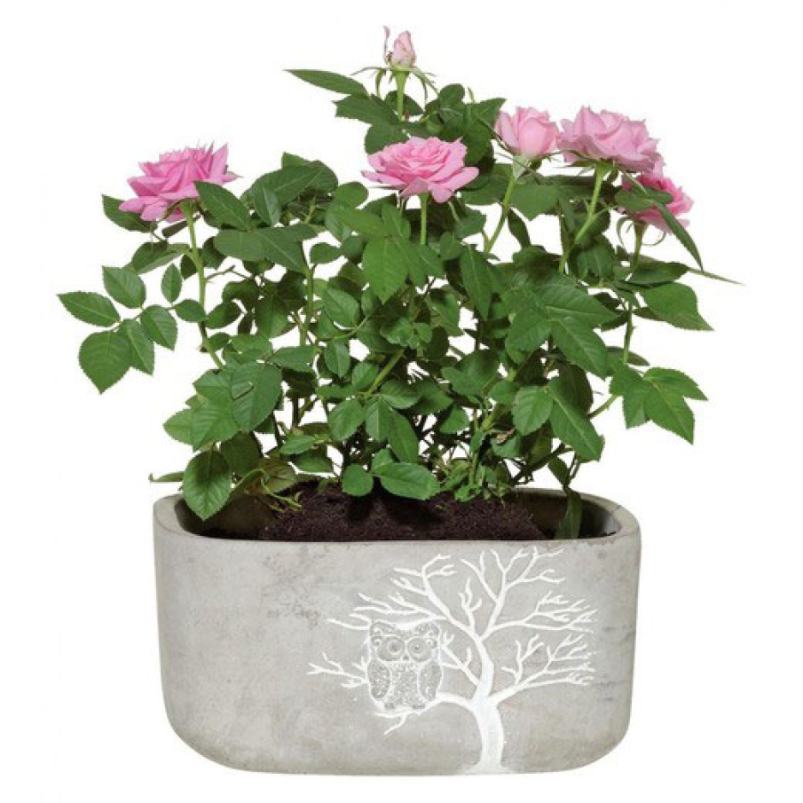 Ghiveci decorativ mare