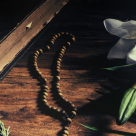 Floriile: Credinte, obiceiuri si traditii minunate din Duminica Gratierilor!