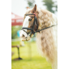 Despre ponei și cai la cea de-a patra ediție Karpatia Pony Show