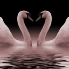 Declaratie de egoism si Paradis