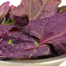 Loboda - alimentul detoxifiant si antioxidant al primaverii