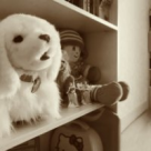 Stire tulburatoare de la Cluj: Copii care isi vand jucariile ca sa mearga in excursie