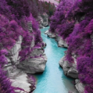 10 fotografii ULUITOARE, dar cat se poate de REALE