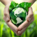 7 acțiuni concrete pentru salvarea mediului