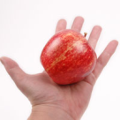 Detoxifiere in familie