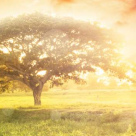 Viata ne vindeca. Permite-i! 