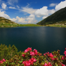 [VIDEO + FOTO] Carpatia salbatica, CEL MAI FRUMOS DOCUMENTAR despre Romania, cucereste lumea!